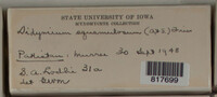 Image Associated With the Occurence